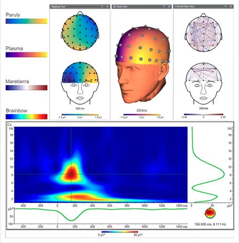 Eeg Data Analysis Connectivity Analysis Made Easy Webp