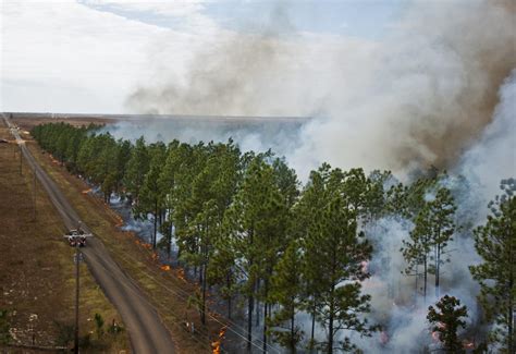 Prescribed Fire Awareness Week Promotes Its Importance South Santa