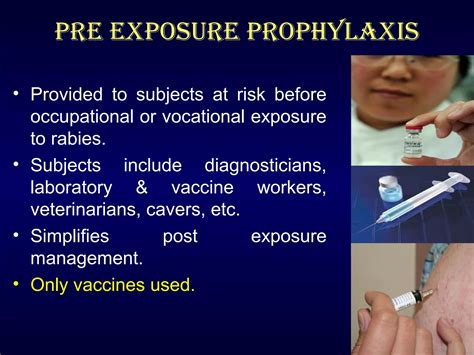 Rabies Considerations To Nursing Ppt