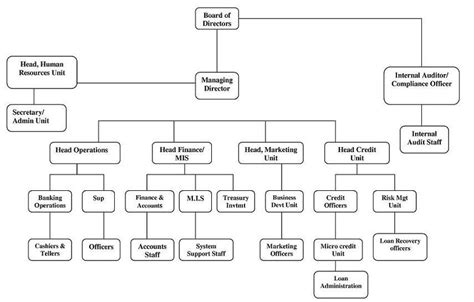 Organization Chart