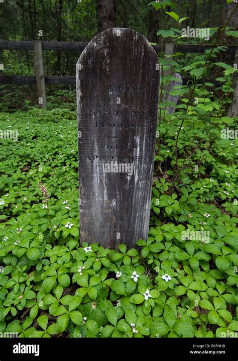 Dyea Trail Fotografías E Imágenes De Alta Resolución Alamy