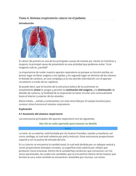 Tema Anatomia Temaaaa Tema Sistema Respiratorio Cncer En El