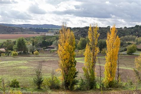 Premium Photo | Landscape with farmland and a house on the hillside