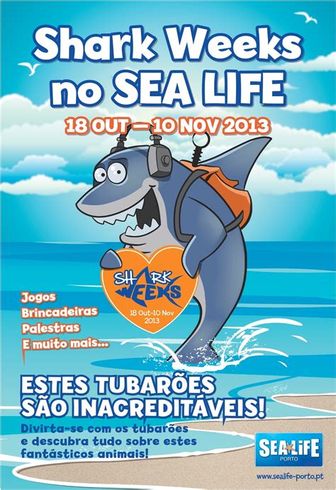 Como é que os tubarões lavam os dentes no Sea Life C H Revista