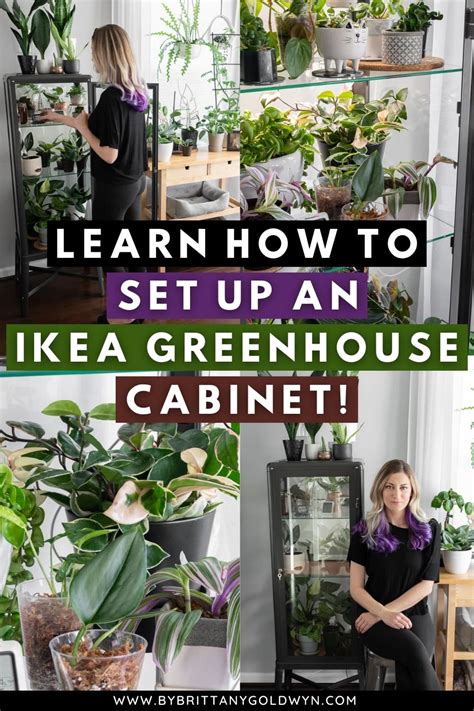 Greenhouse Pin By Brittany Goldwyn Live Creatively