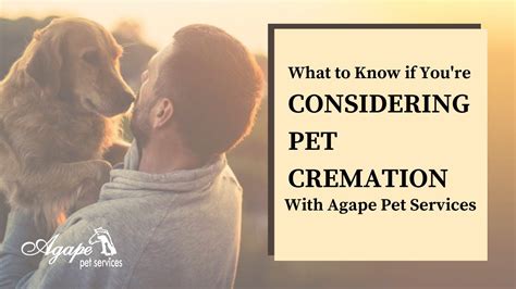 Pet Cremation Process And Considerations Youtube