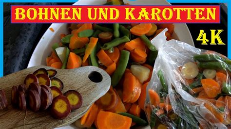 Bohnen Einfrieren F R Den Winter Bohnen Und Karotten Zusammen Kochen