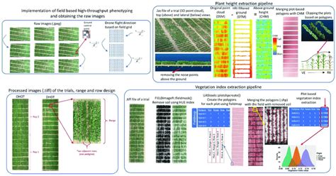 Shows The Steps Of High Throughput Phenotyping Pipeline Including Data