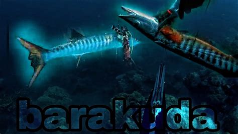 Spearfishing BarAcuda And Trevally JOMIX OFFICIAL YouTube