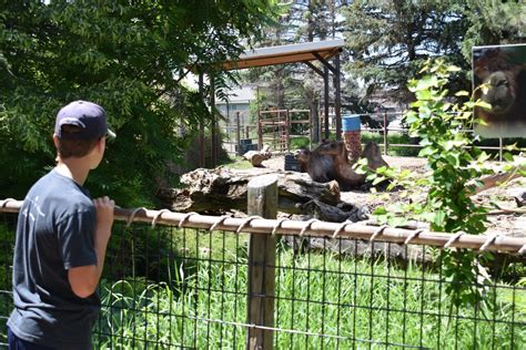 Idaho Falls Zoo - Utah's Adventure Family