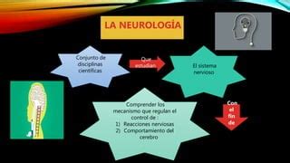 Bases neurológicas para mejorar el aprendizaje PPT