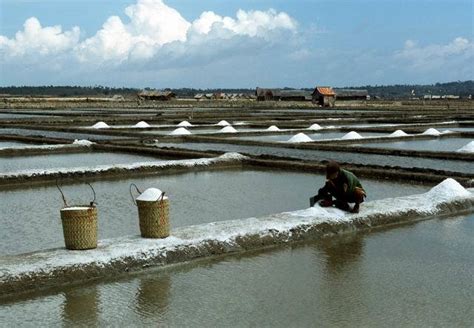 Proses Pembuatan Garam Pt Sumatraco Langgeng Abadi