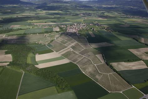 Histoire Et Histoires D Arnex Sur Orbe Les Vignes D Arnex Sur Orbe