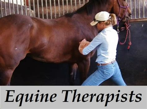 Courses In Equine Sports Massage Therapy Advanced Horse Massage