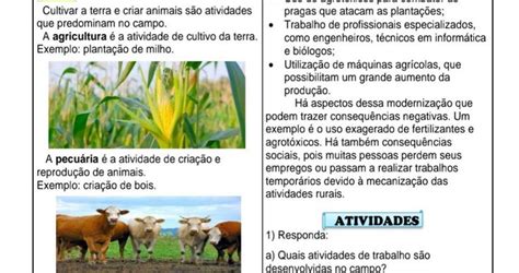 Geografia Trabalho No Campo E Na Cidade Atividades De Geografia