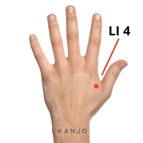 11 Sinus Pressure Points For Relief Kanjo