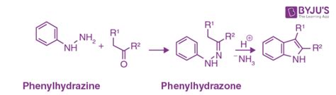 ‌Fischer Indole Synthesis - Definition, Reaction, Mechanism & Drawbacks ...