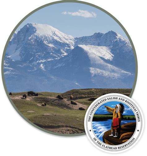 Visit The Bison Range Flathead Reservation Montana