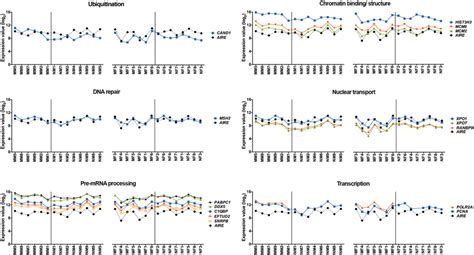 Gene Expression Profiles Of AIRE Interactors Gene Expression Profiles