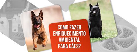 Enriquecimento ambiental para cães tipos e como fazer