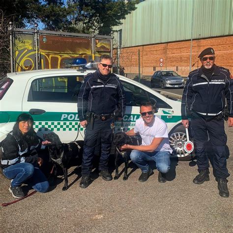 Due Labrador Alleati Speciali Nella Lotta Allo Spaccio Di Droga Nei