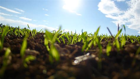 Banco de imagens natureza nuvem plantar céu campo gramado Prado