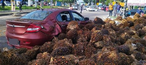 Lorry Spills Oil Palm Causing Traffic Congestion In Pd