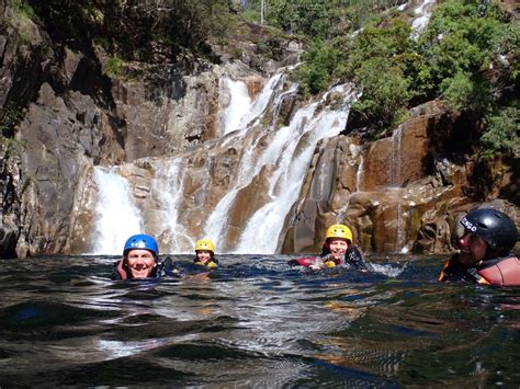 Cairns: Waterfalls Rainforest Experience