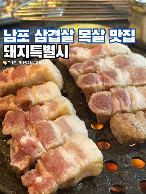 남포동 맛집 돼지특별시 1등급 한돈 삼겹살 목살 구워주는 고기집 네이버 블로그