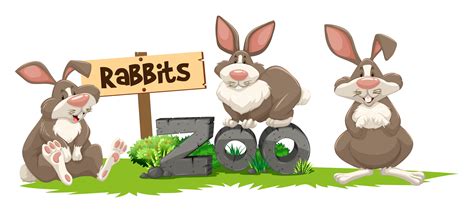 Three Rabbits At The Zoo Sign 292213 Vector Art At Vecteezy