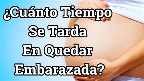 Cuánto tiempo se tarda en quedar embarazada YouTube