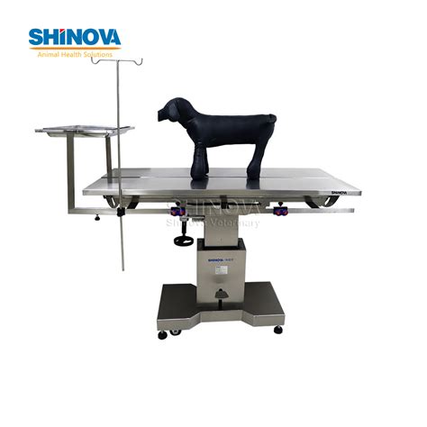 Stainless Steel Vet Hydraulic Lifting Veterinary Surgical Table