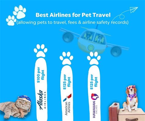 What Are The Best Airlines For Pet Travel — Vital Pet Life