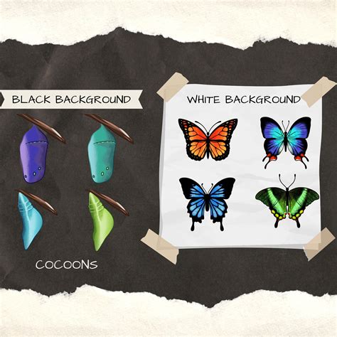 Butterflies Twitch Sub Badges Twitch Bit Badges Discord Emote Twitch