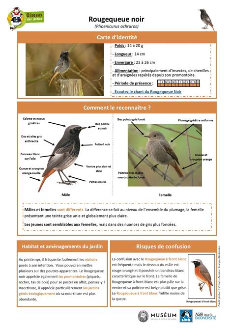 Toutes Les Fiches Espèces Oiseauxdesjardinsfr Vie Animale