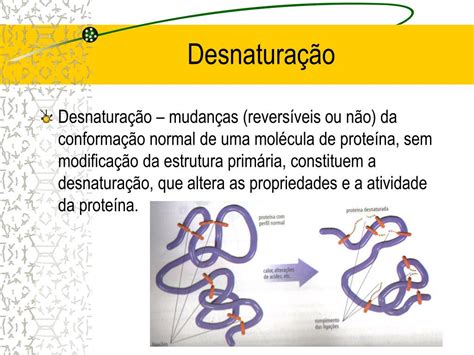 O Que É Desnaturaçao Proteica - O Que é Desnaturação Proteica - RETOEDU