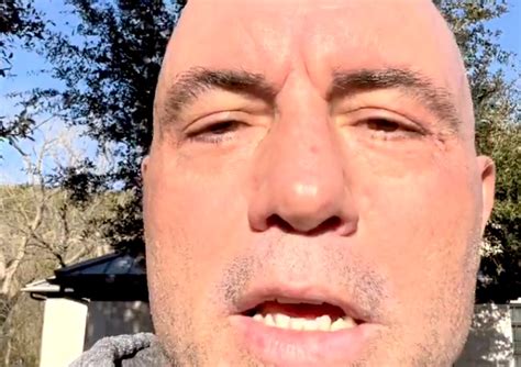 Joe Rogan Breaks His Silence On Spotify Controversy Im Not Trying To