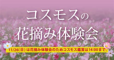 （2023年度）コスモスの花摘み体験会 イベント情報 大阪市立長居植物園