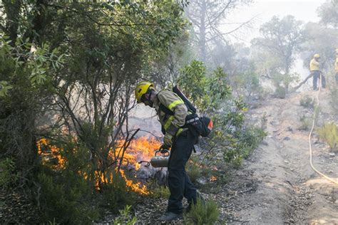 As Se Combate El Fuego En El Bosque