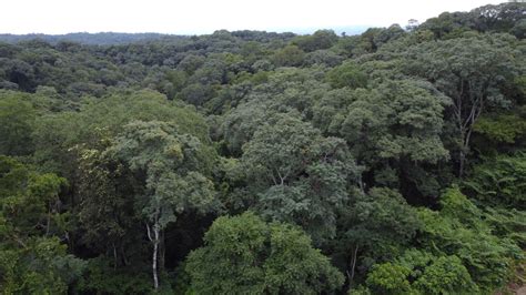 Conservación multicriterio bosques nativos Argentina gob ar