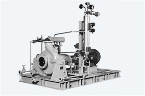 Overhung End Suction Pumps EBARA Pumps Americas Corp