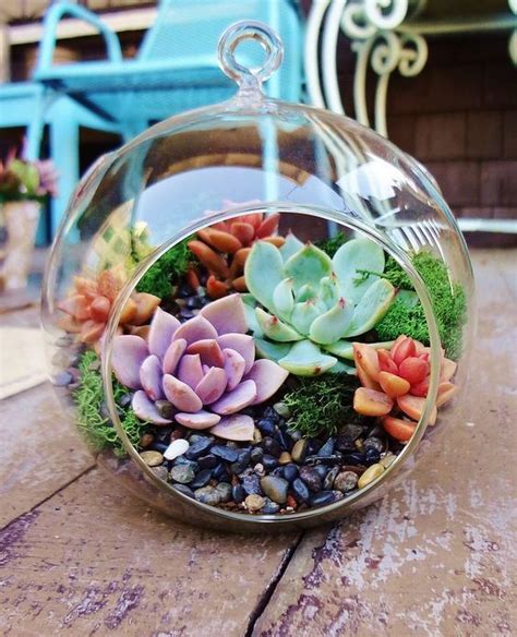 How To Set Up A Succulent Terrarium Идеи посадки растений Посадка суккулентов Суккуленты