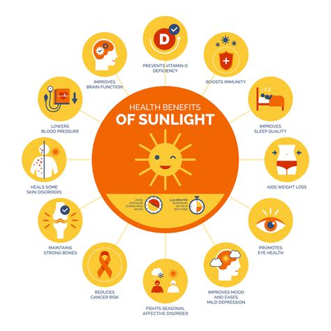 The Five Biggest Health Benefits Of Sunlight Through Windows Monumental