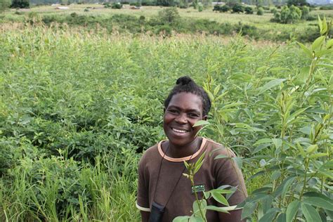 How low-tech farming innovations can make African farmers climate-resilient