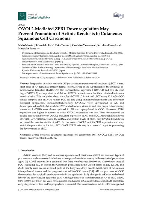 Pdf Ovol Mediated Zeb Downregulation May Prevent Promotion Of