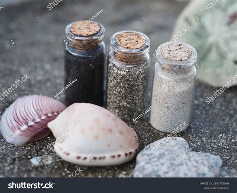 Different Types Beach Sand Collected All Stock Photo 2157758019 | Shutterstock