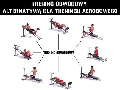 Jaki Trening Wybra Trening Kardio Trening Si Owy Czy Trening