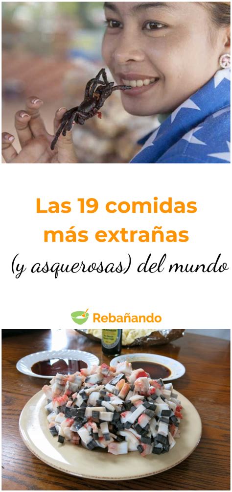 Las 19 Comidas Más Extrañas Y Asquerosas Del Mundo