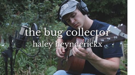 The Bug Collector Haley Heynderickx Cover Youtube