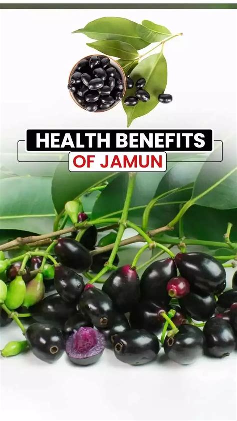 Top 5 Health Benefits Of Jamun